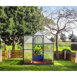 Canopia Mythos Doppio Strato Serra Da Giardino in Policarbonato 247X185X208 cm Grigio- Serra Da Giardino Canopia