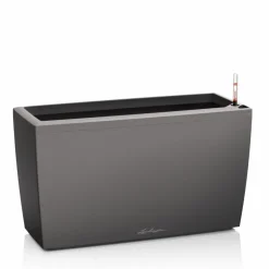 Lechuza Fioriera Cararo 75 Set Completo- Premium Collection|Fioriere In Resina