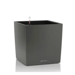 Lechuza Vaso Cube 50 Set Completo- Vasi Quadrati In Resina|Vasi In Resina