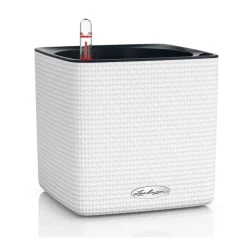 Lechuza Vaso Cube Color 16 Set Completo- Vasi Quadrati In Resina|Vasi In Resina
