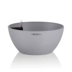 Lechuza Vaso Cubeto 40 Set Completo- Vasi Quadrati In Resina|Vasi In Resina