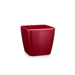 Lechuza Vaso Quadro Premium 50 Set Completo- Premium Collection|Vasi Tondi In Resina