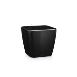 Lechuza Vaso Quadro Premium 43 Set Completo- Premium Collection|Vasi Tondi In Resina