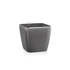 Lechuza Vaso Quadro Premium 43 Set Completo- Premium Collection|Vasi Tondi In Resina